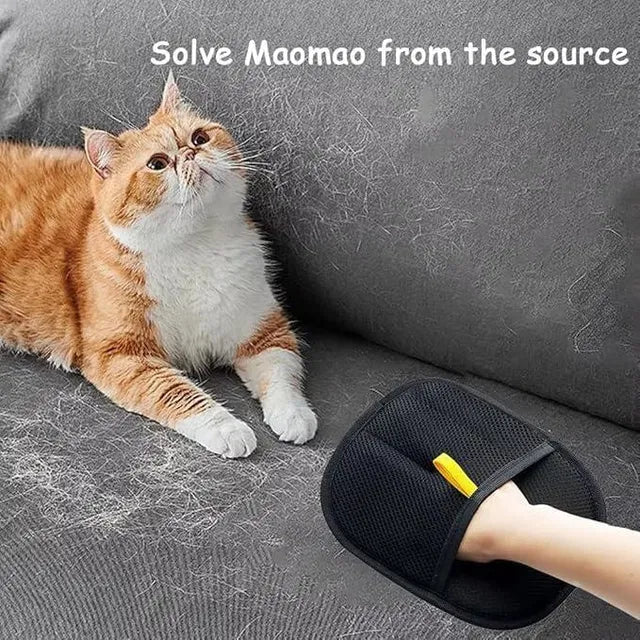 Pet Care