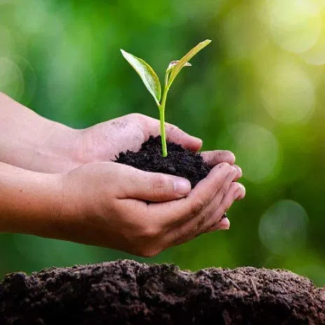 Garden Care